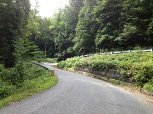 One of the 17 brutal switchbacks on Green River Cove Rd.